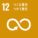 SDG 12 Responsible Consumption and Production